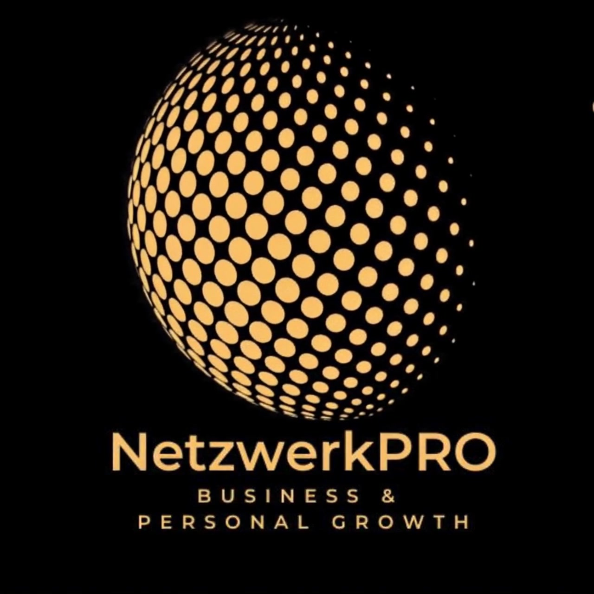 NetzwerkPRO